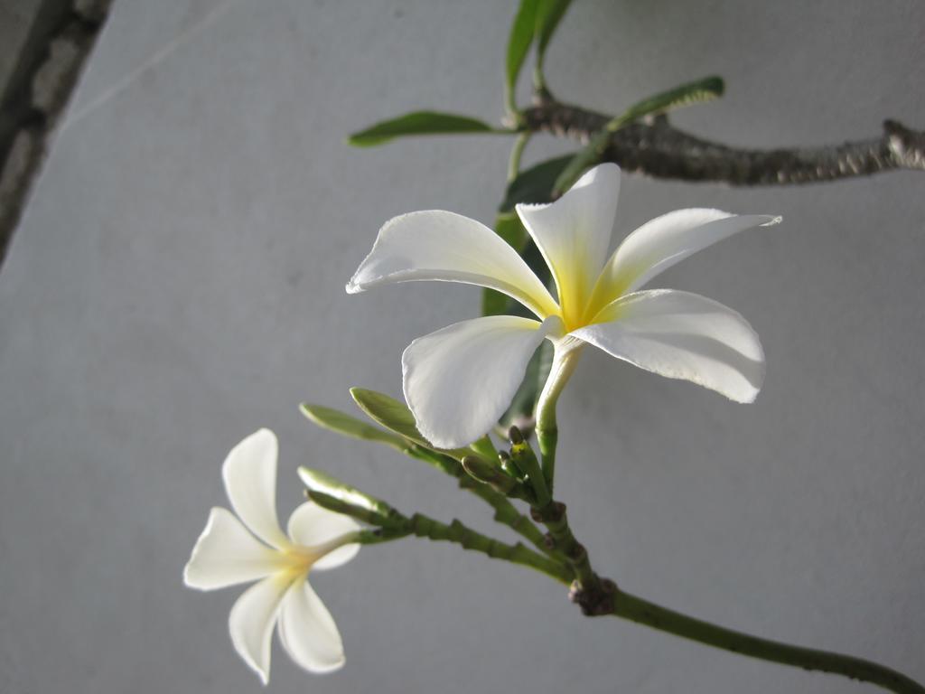 Crescent Resort Galle Zewnętrze zdjęcie